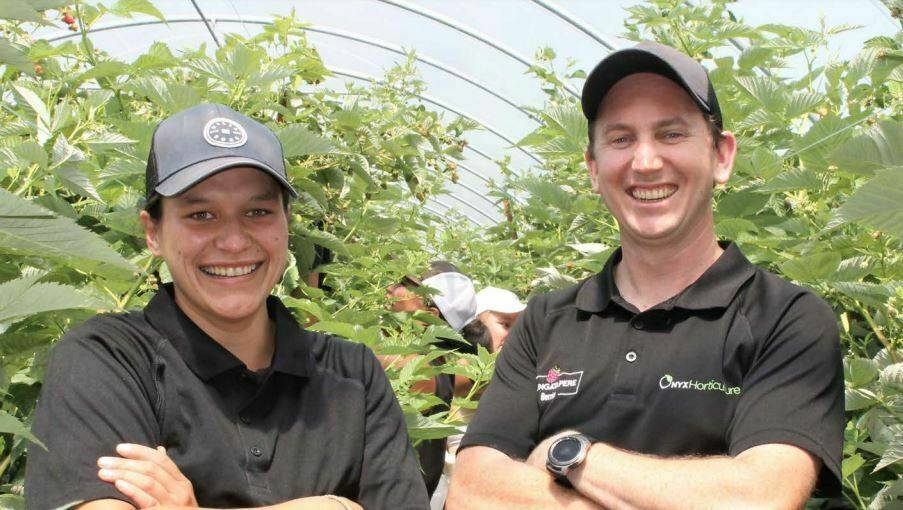 CEA, cultivo ambiente controlado|CEA tipo estructuras protegidas|CEA 2 tipo de métodos de cultivo empleados